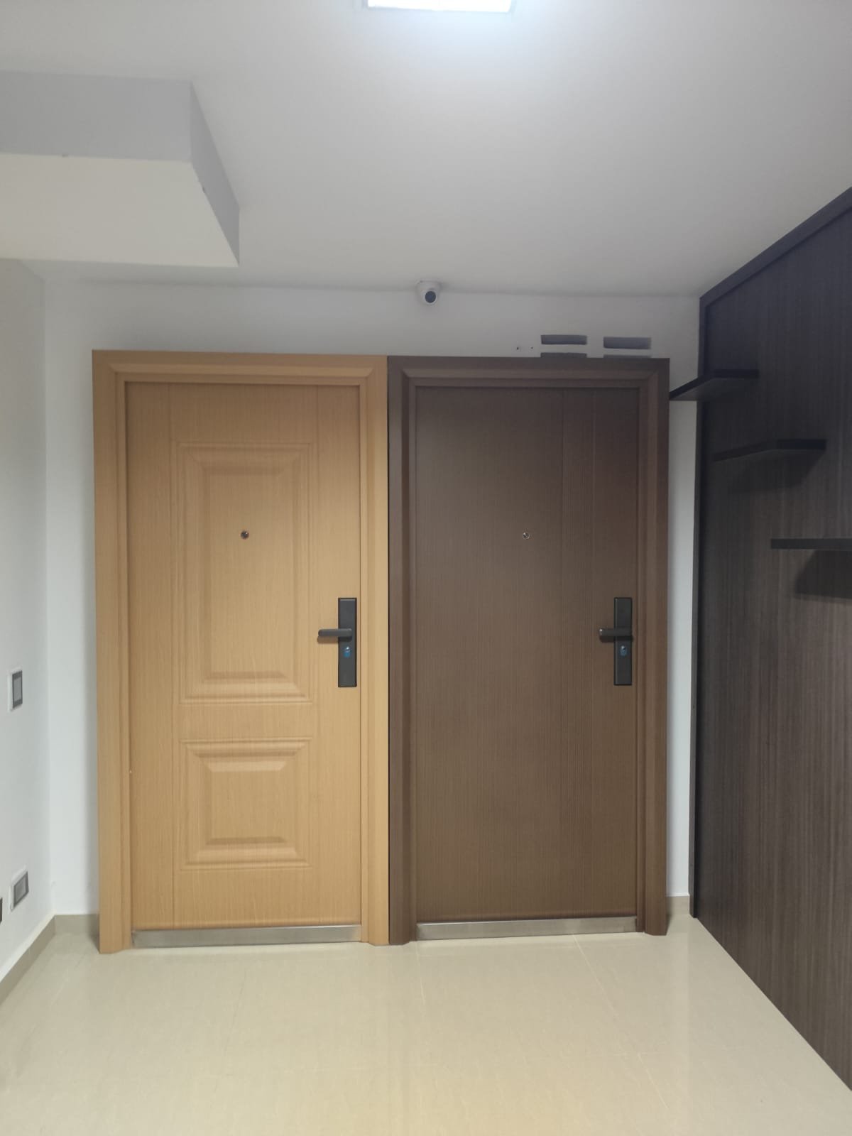 Puerta de seguridad modelo 1 - Acabado antracita