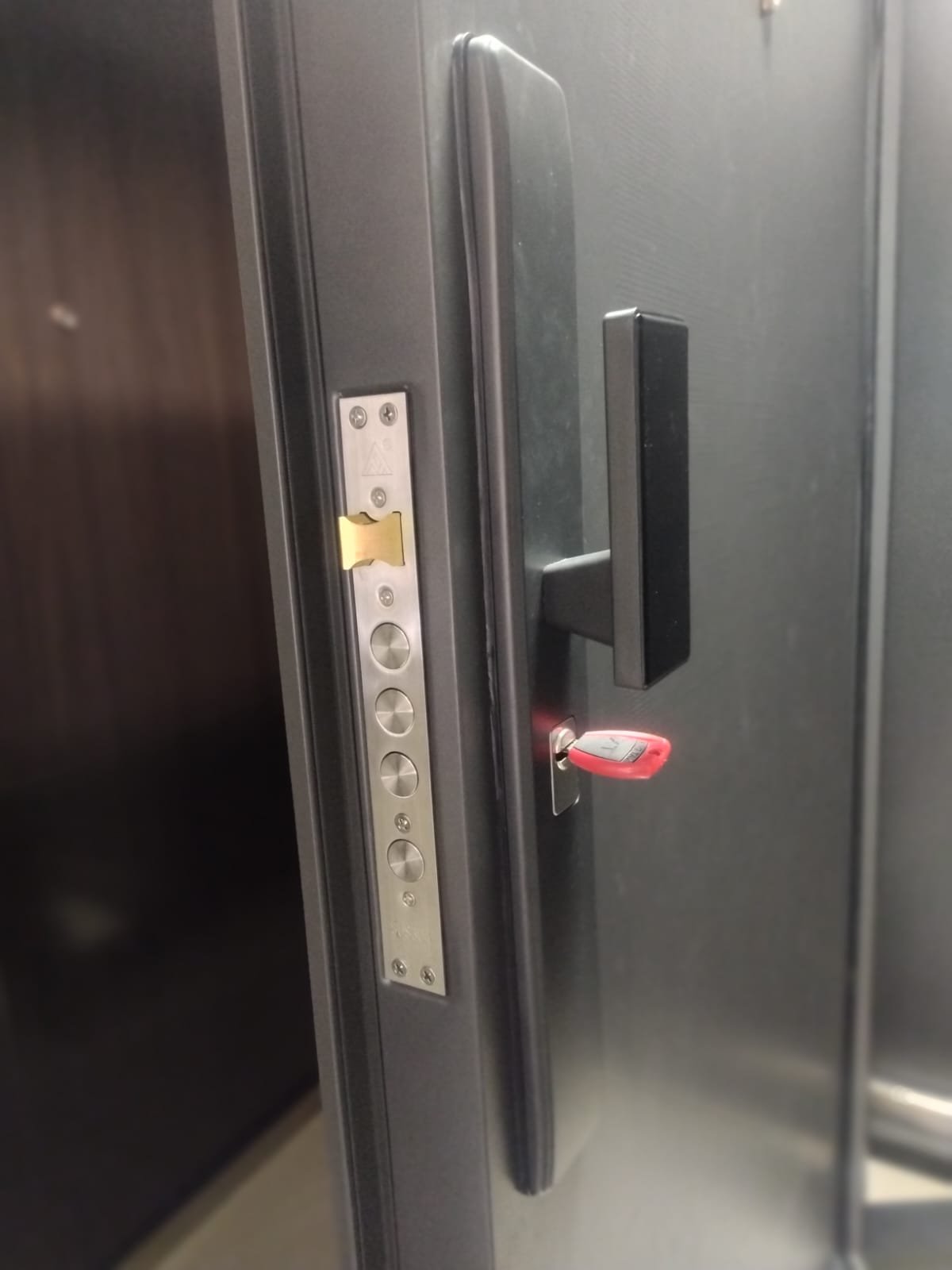 Puerta de seguridad modelo 5 - Instalación reciente